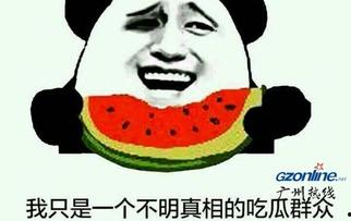 表情吃瓜是啥意思啊,表情吃瓜的趣味内涵